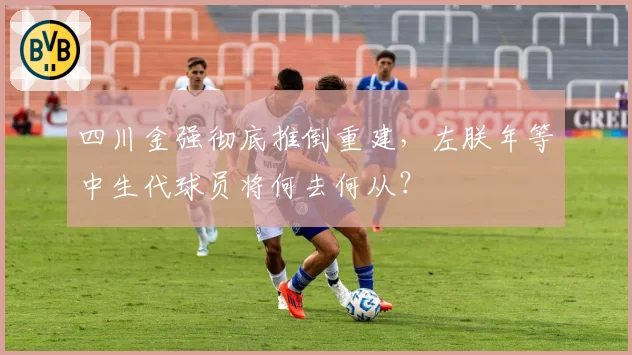 四川金强彻底推倒重建,左朕年等中生代球员将何去何从?