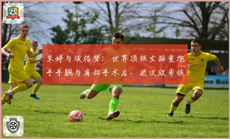 朱婷与埃格努:世界顶级女排重炮手手腕与肩部手术后,进攻效率恢复情况对比