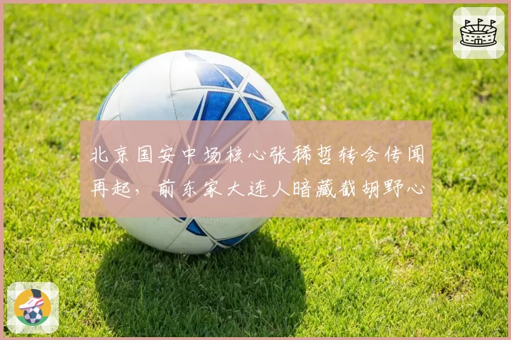 北京国安中场核心张稀哲转会传闻再起,前东家大连人暗藏截胡野心