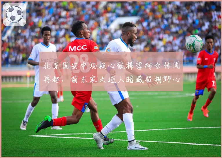 北京国安中场核心张稀哲转会传闻再起,前东家大连人暗藏截胡野心